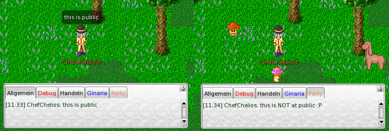 ManaPlus_Screenshot_60.png