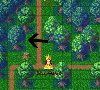 collision2.jpg