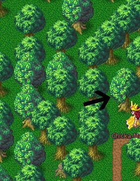 trees.jpg