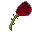 rose-icon.png