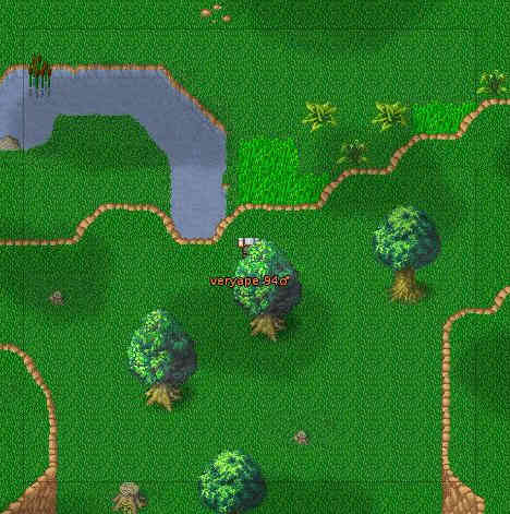 ManaPlus_Screenshot_1.jpg