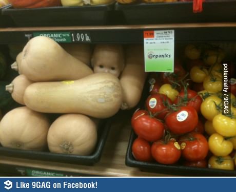 Squash o.O.jpg