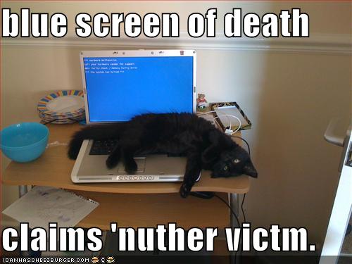 funny-pictures-the-blue-screen-of-death-claims-another-victim.jpg