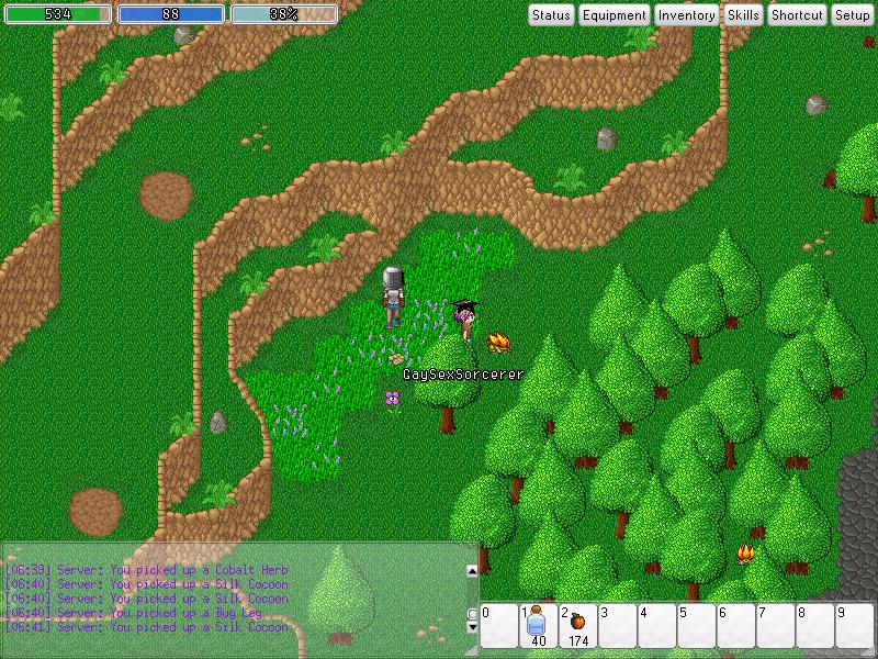TMW_Screenshot_38.JPG