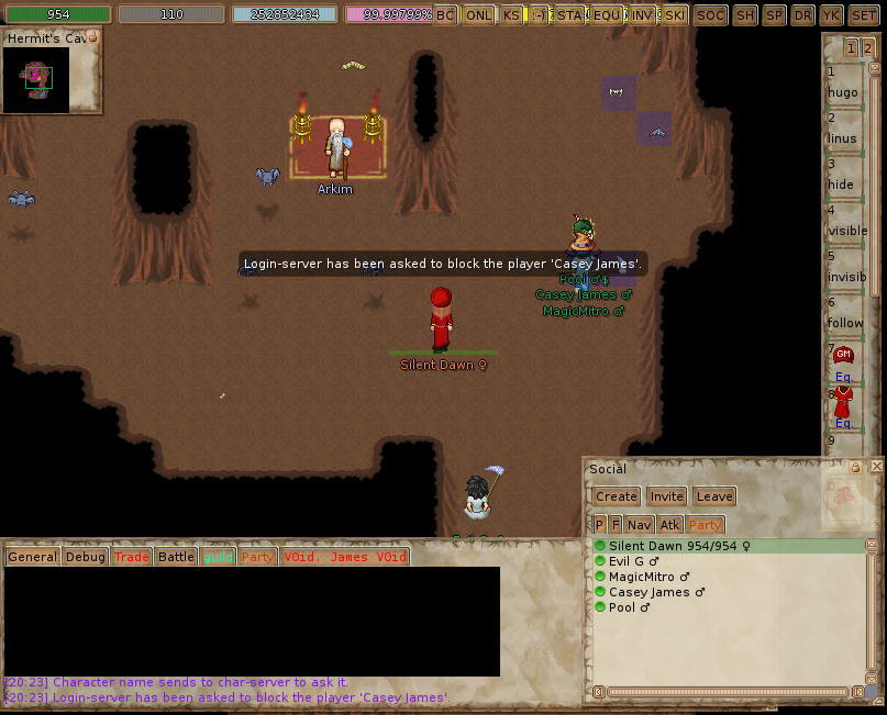 ManaPlus_Screenshot_222.png