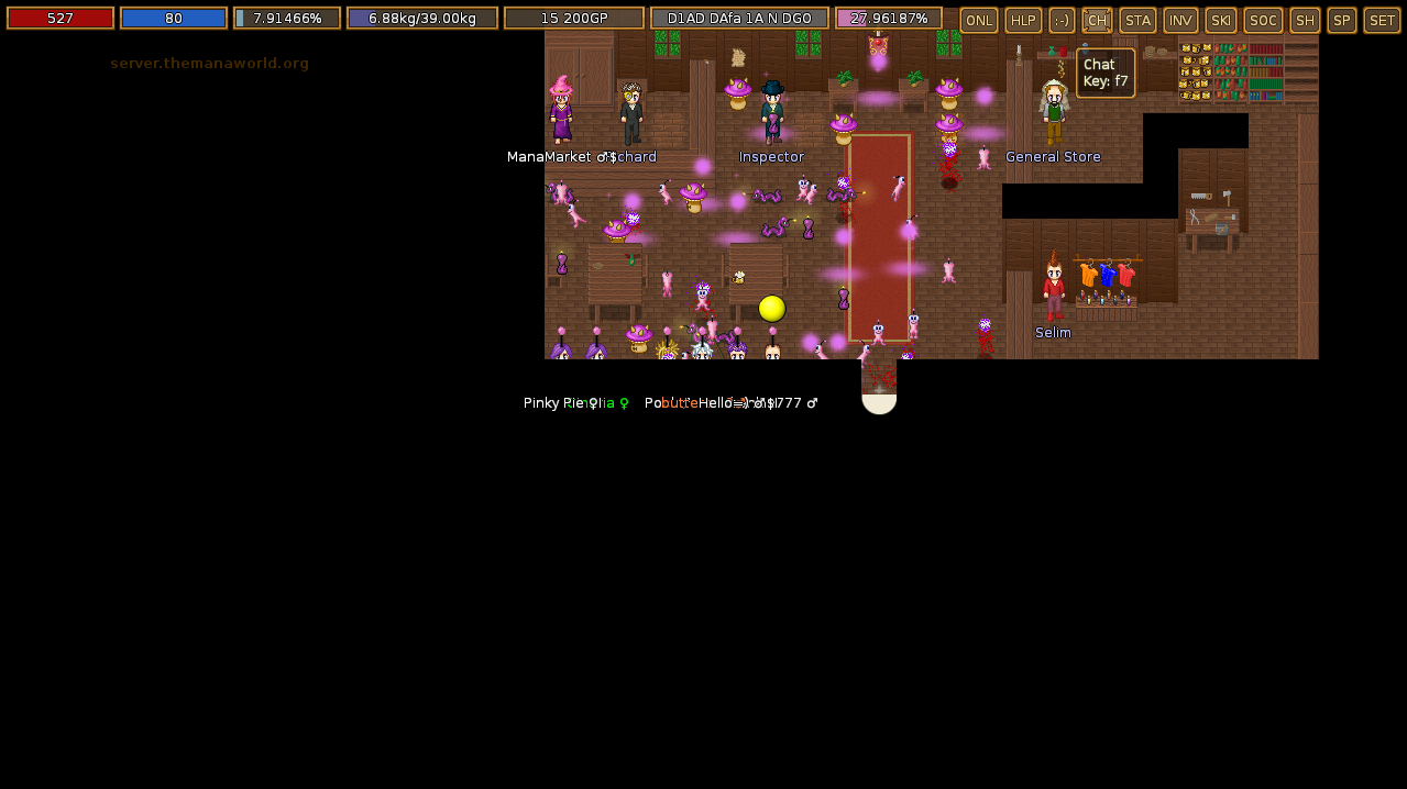 ManaPlus_Screenshot_server.themanaworld.org_2014-10-17_01-05-39_8.png