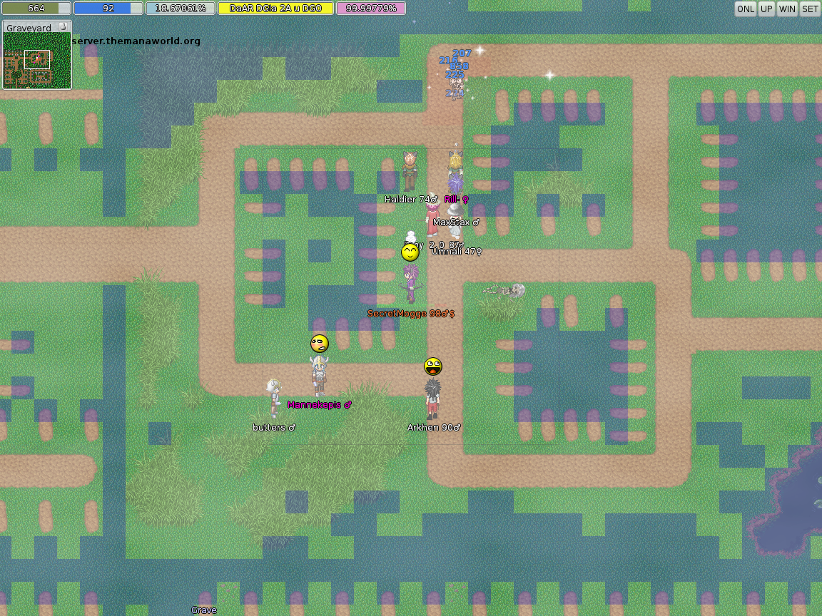 ManaPlus_Screenshot_server.themanaworld.org_2014-12-10_01-09-19_4.png