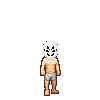 maskfinal3.gif