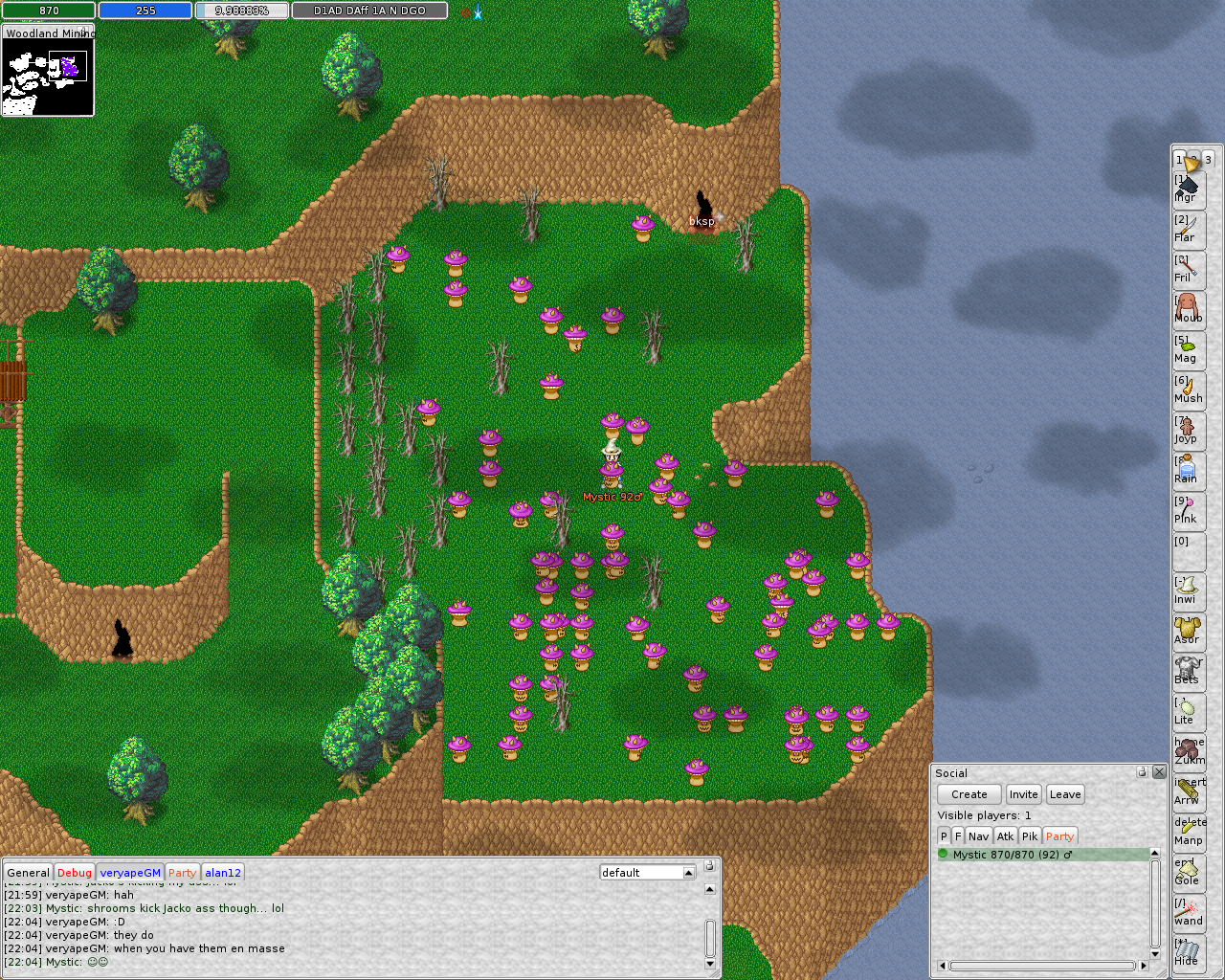 ManaPlus_Screenshot_server.themanaworld.org_2015-01-01_18-06-33_1.png