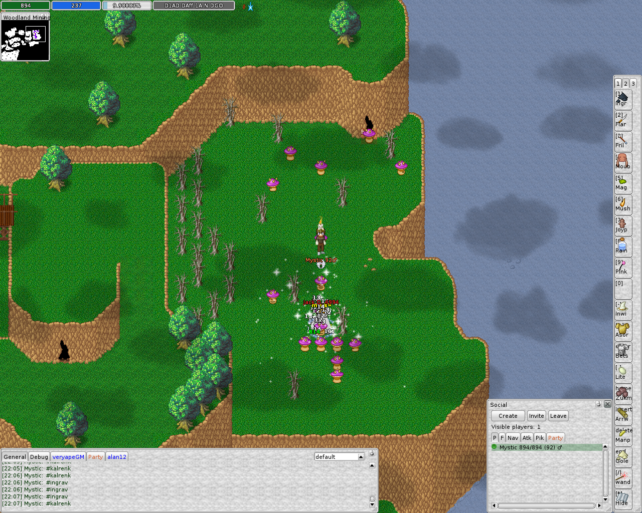 ManaPlus_Screenshot_server.themanaworld.org_2015-01-01_18-08-58_2.png