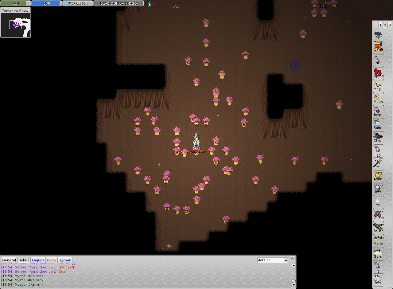 ManaPlus_Screenshot_48.png