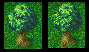 tree2.PNG