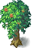 Fruit_tree03.png