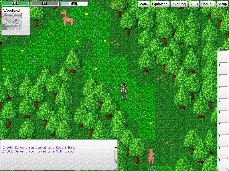 This is the forest mouboo.