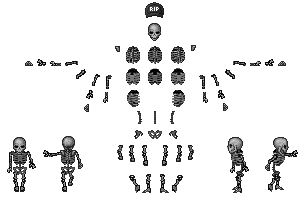 Skeletal components