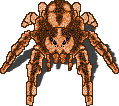 scrapped-massive-spider.png