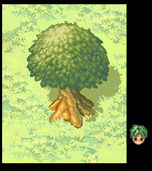 Avilon.PNG