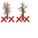 trees_x3_oldcollision.png