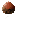 acorn2.PNG