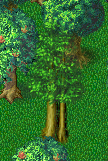 tree.PNG