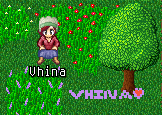 Vhina-flowers.png