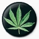 Excuse me cause I'm stoned.jpg