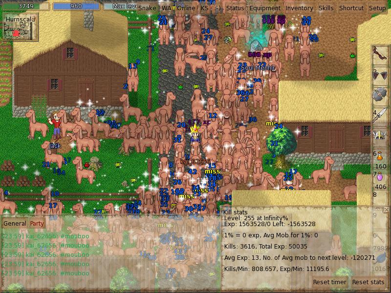 TMW_Screenshot_202.JPG