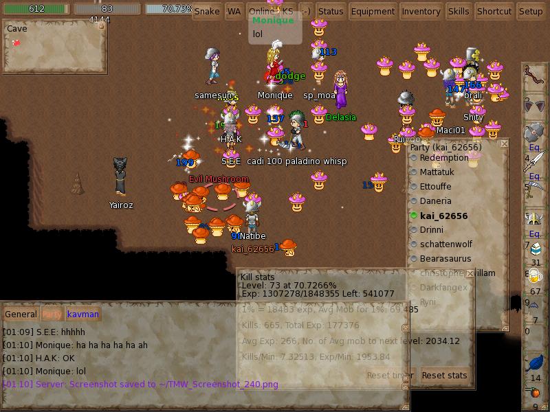 TMW_Screenshot_241.JPG