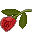 rose-red.png
