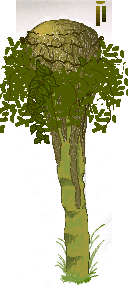 newtree1.png