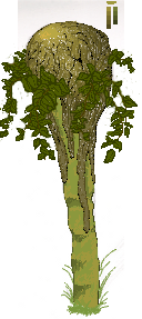 newtree2.png