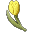 tulip-yellow.png