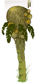 newtree4.png