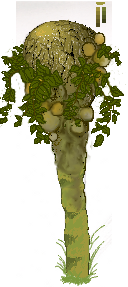 newtree5.png