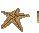 starfish