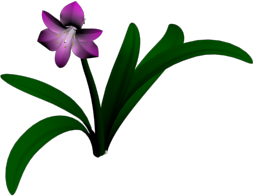 Flower.png