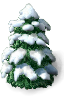 snow-pine2b.png