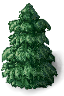 pine.png