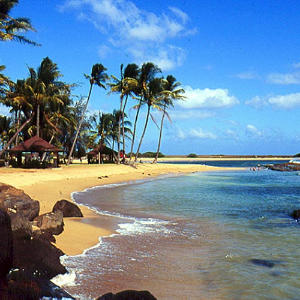 sywtli-tropics-m.jpg