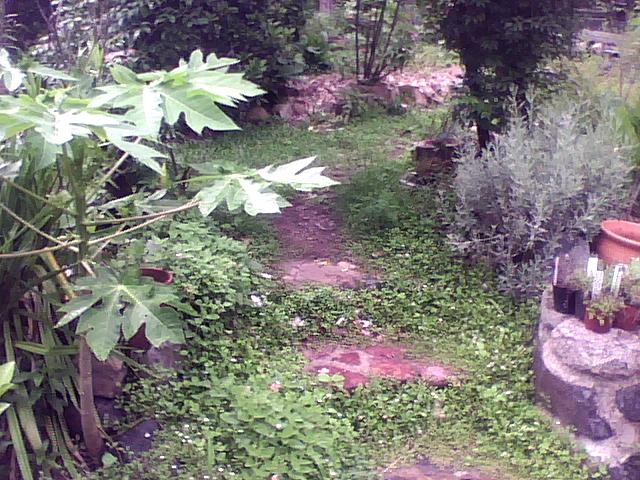 2010-01-07-145124.jpg
