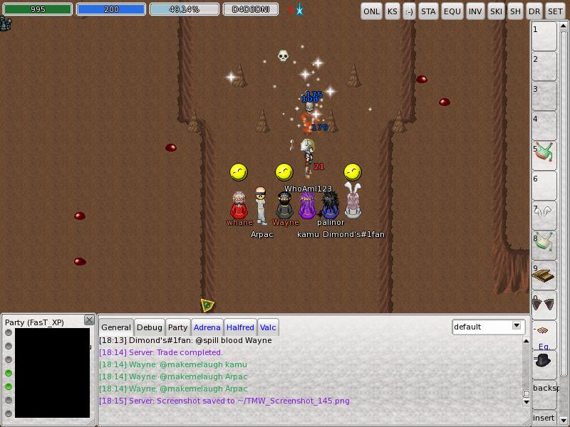 TMW_Screenshot_146.JPG