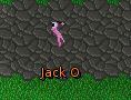 Jack O is a pinkie!