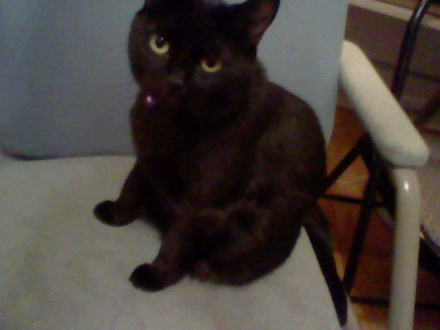 my Cats way of saying bye as well