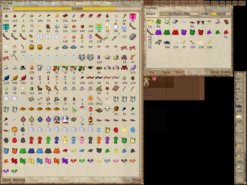 ManaPlus_Screenshot_66.jpg