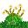 strawflower_bottomgrass.png