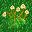 strawflower_grass.png