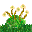 strawflower_bottomgrass_alpha.png