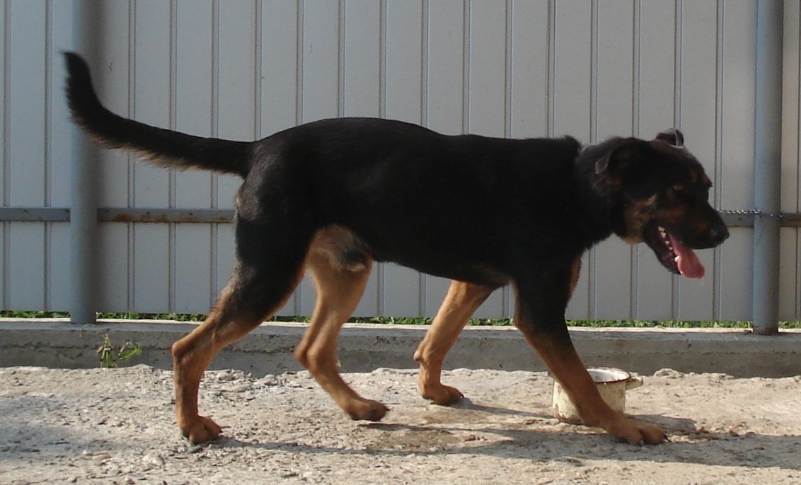 DSC02566.JPG