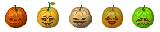 pumkins1.png