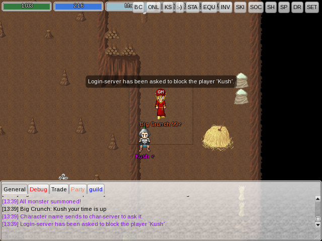 ManaPlus_Screenshot_80.png